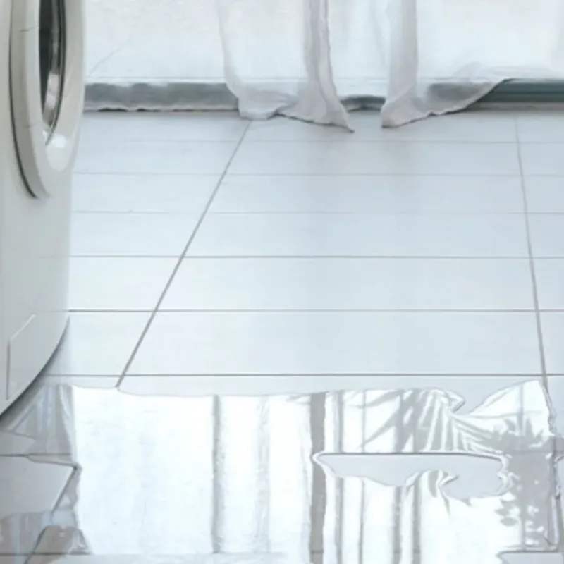 Appliance Leak Cleanup in Valle Vista, CA