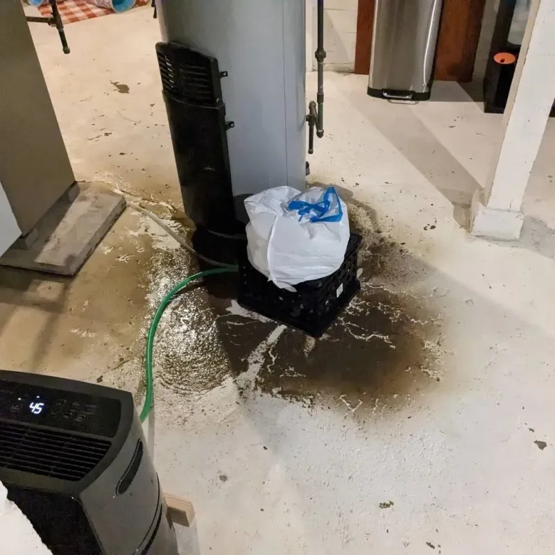 Sewage Backup Cleanup Service in Valle Vista, CA